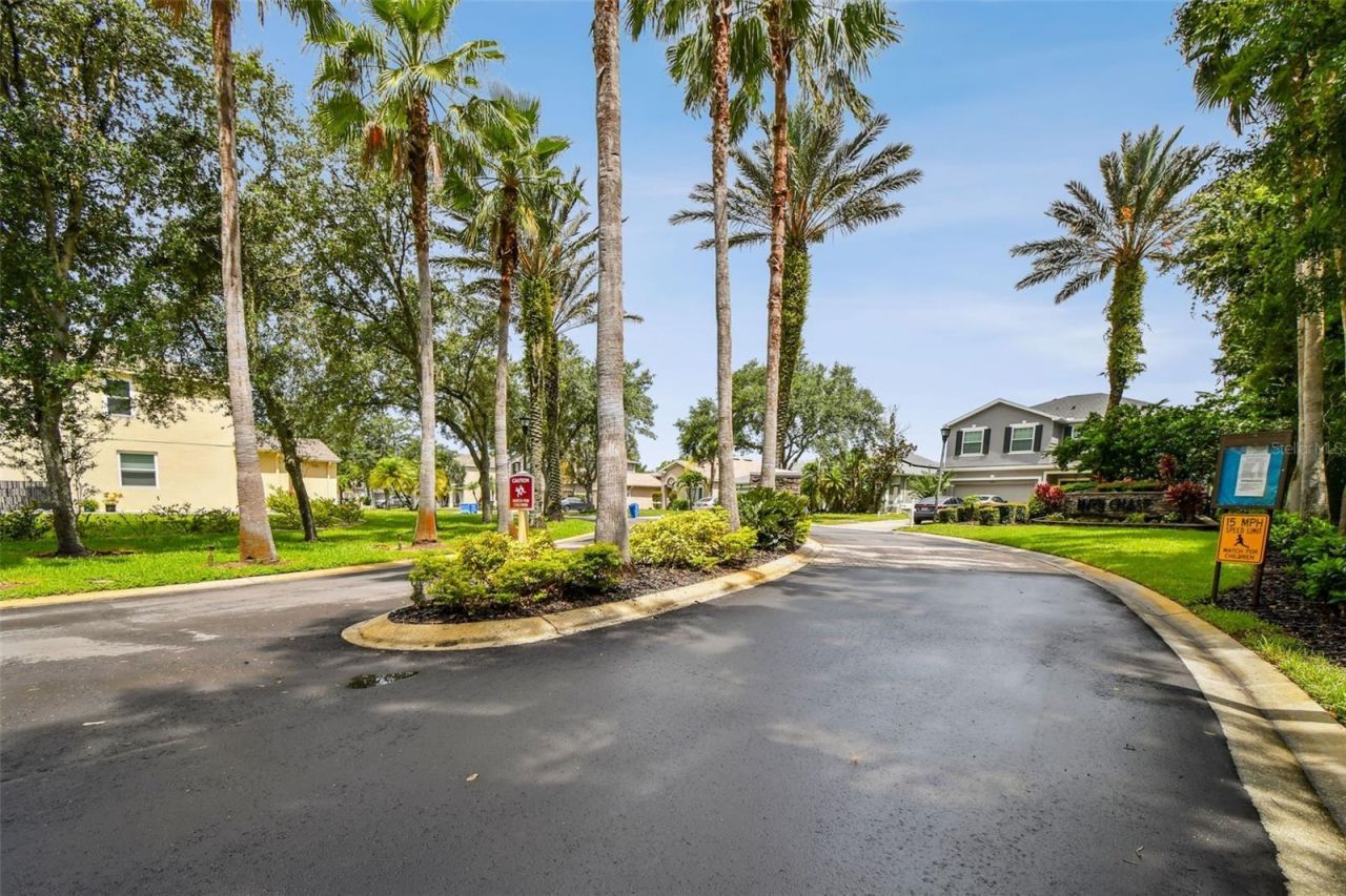 8821 N River Road, Tampa, FL 33635 Photo