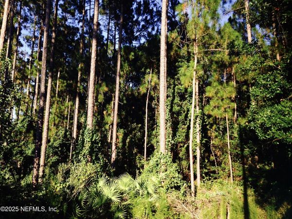 0 FAWN LAKE Drive S, Jacksonville, FL 32256