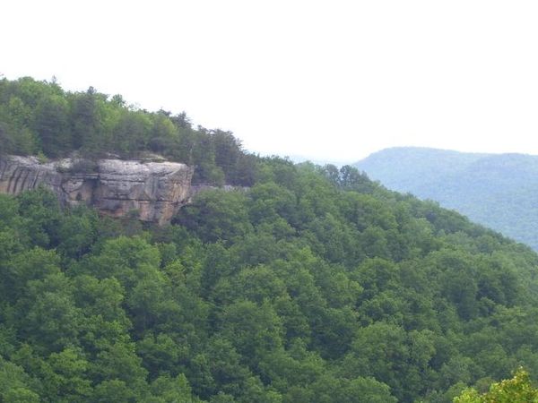 Lot 65 Panther Falls, Wilder, TN 38589