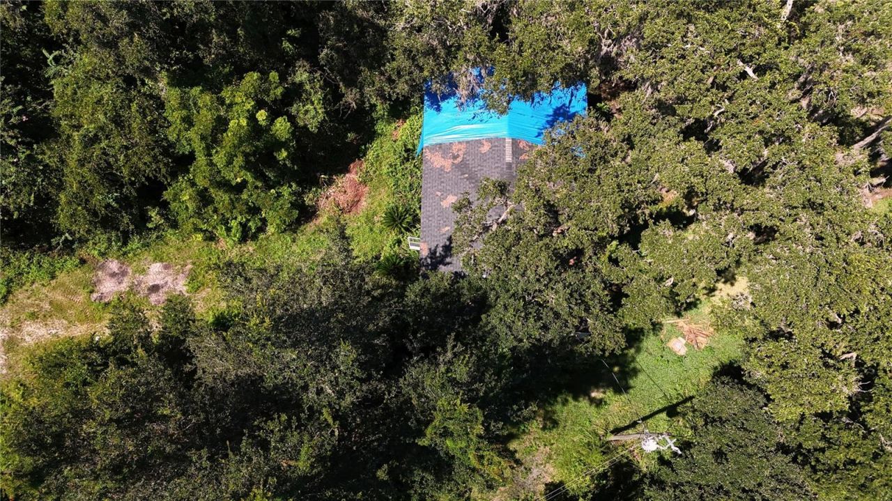 9278 Cr 734, Lot #A, Center Hill, FL 33514 Photo