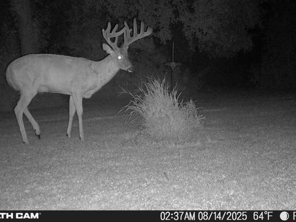 TBD 630th Street, Claremont, MN 55924