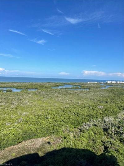 900 Arbor Lake Dr, Unit 9-501, Naples, FL 34110 Photo