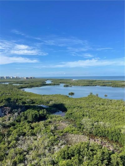 900 Arbor Lake Dr, Unit 9-501, Naples, FL 34110 Photo