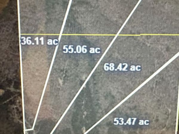 36 ACRES Firetower Road, Thomaston, GA 30286