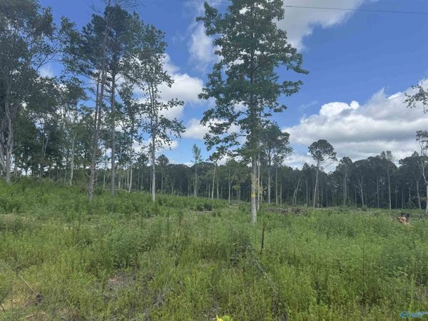 Lot 7 County Road 794, Gaylesville, AL 35973