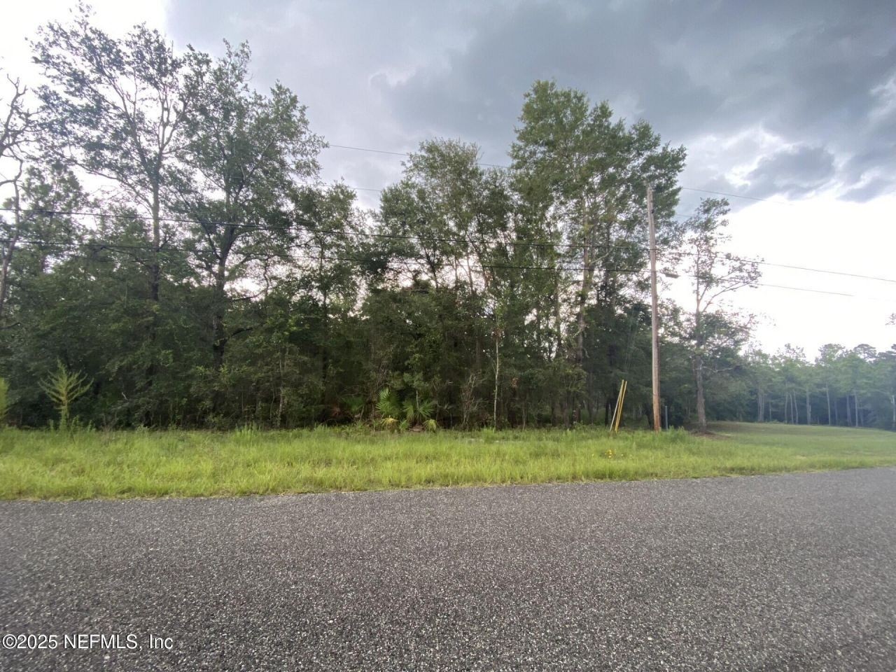 4451 Witch Hazel Road, Middleburg, FL 32068 Main Photo