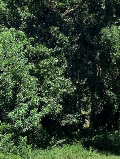 4910 N Miraham Dr, Immokalee, FL 34142 Photo