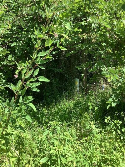 4910 N Miraham Dr, Immokalee, FL 34142 Photo