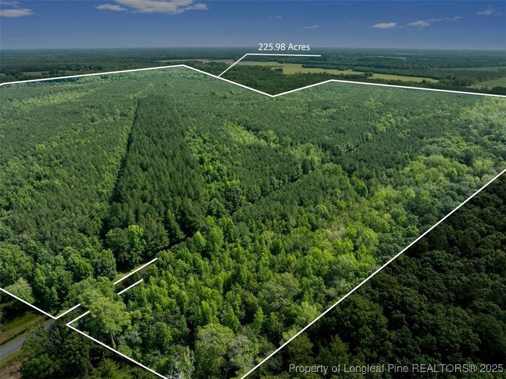 Tbd Rich Walker Road, Wade, NC 28395 Main Photo