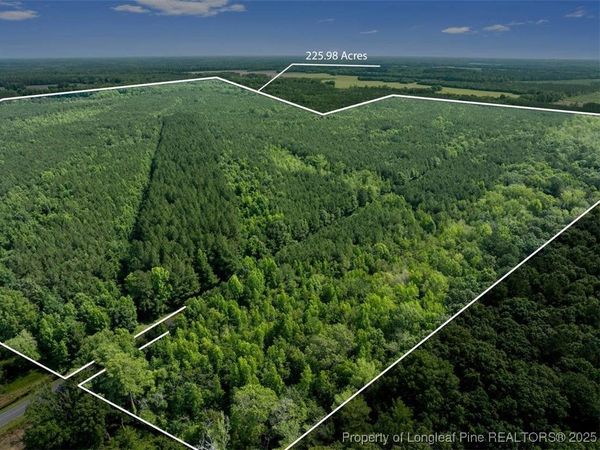 TBD Rich Walker Road, Wade, NC 28395