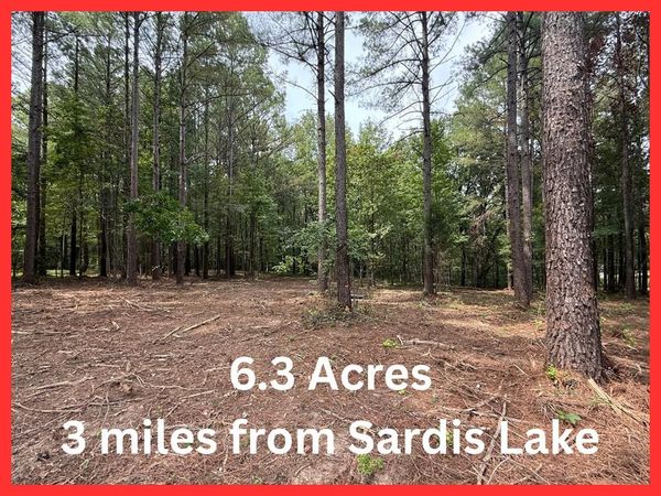 000 Hwy 315, Sardis, MS 38666