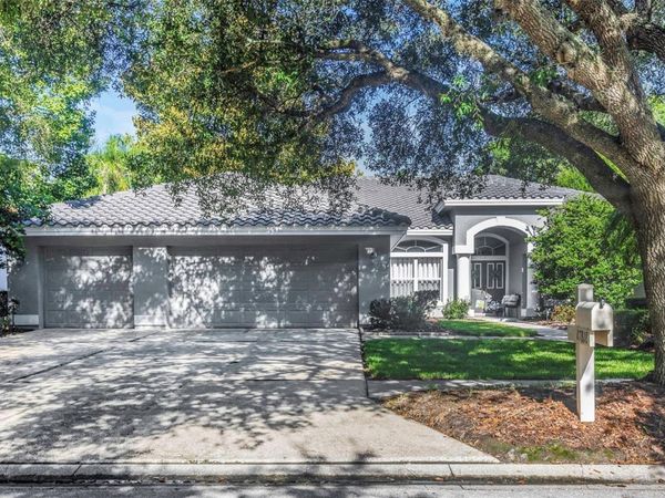 17818 HICKORY MOSS PLACE, TAMPA, FL 33647