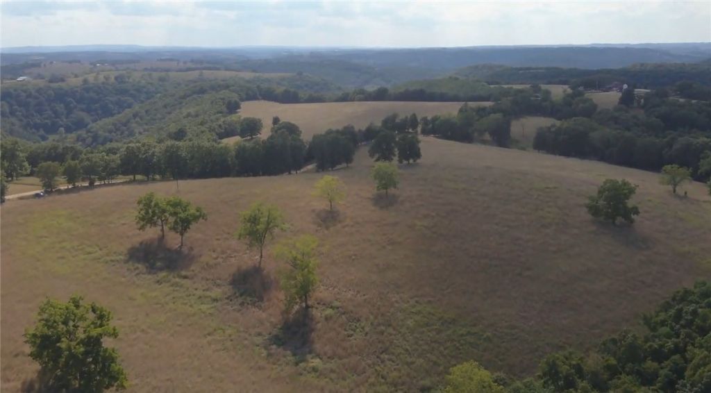 1548 Grassy Gap Road, Harrison, AR 72601 Main Photo
