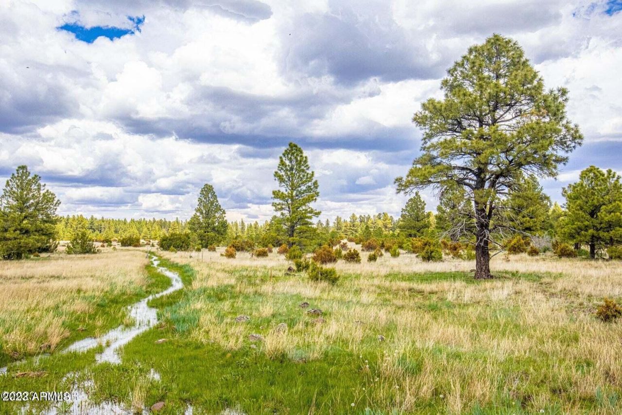000 Dipping Vat Spring Fire Road, Vernon, AZ 85940