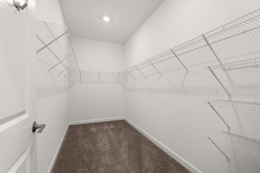 11843 Language Way, Orlando, FL 32832 Photo