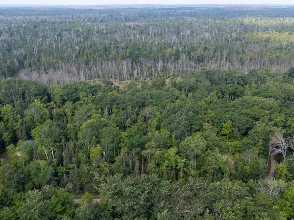 TBD Lots 52-53 East Side Drive, Beaver Island, MI 49782