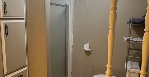 16895 Silver S Dr, Pioneer, CA 95666 Photo