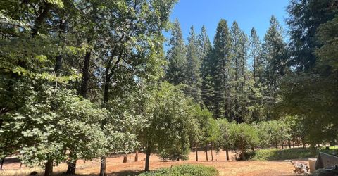 16895 Silver S Dr, Pioneer, CA 95666 Photo