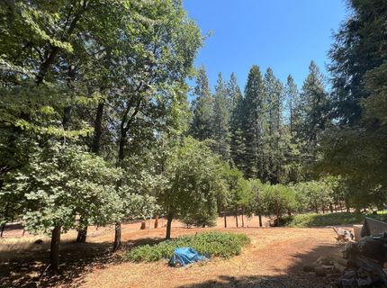 16895 Silver S Dr, Pioneer, CA 95666 Photo