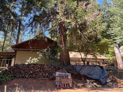 16895 Silver S Dr, Pioneer, CA 95666 Photo