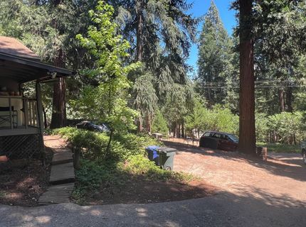 16895 Silver S Dr, Pioneer, CA 95666 Photo