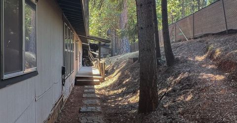 16895 Silver S Dr, Pioneer, CA 95666 Photo