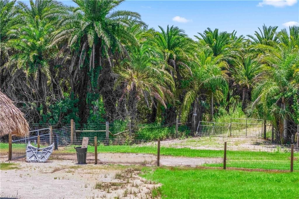 6250 Masters Landing Dr, Saint James City, FL 33956 Photo