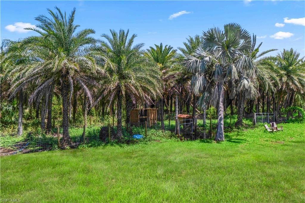 6250 Masters Landing Dr, Saint James City, FL 33956 Photo