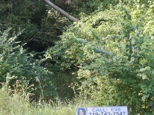 316 N Knox Street, Gary, IN 46403