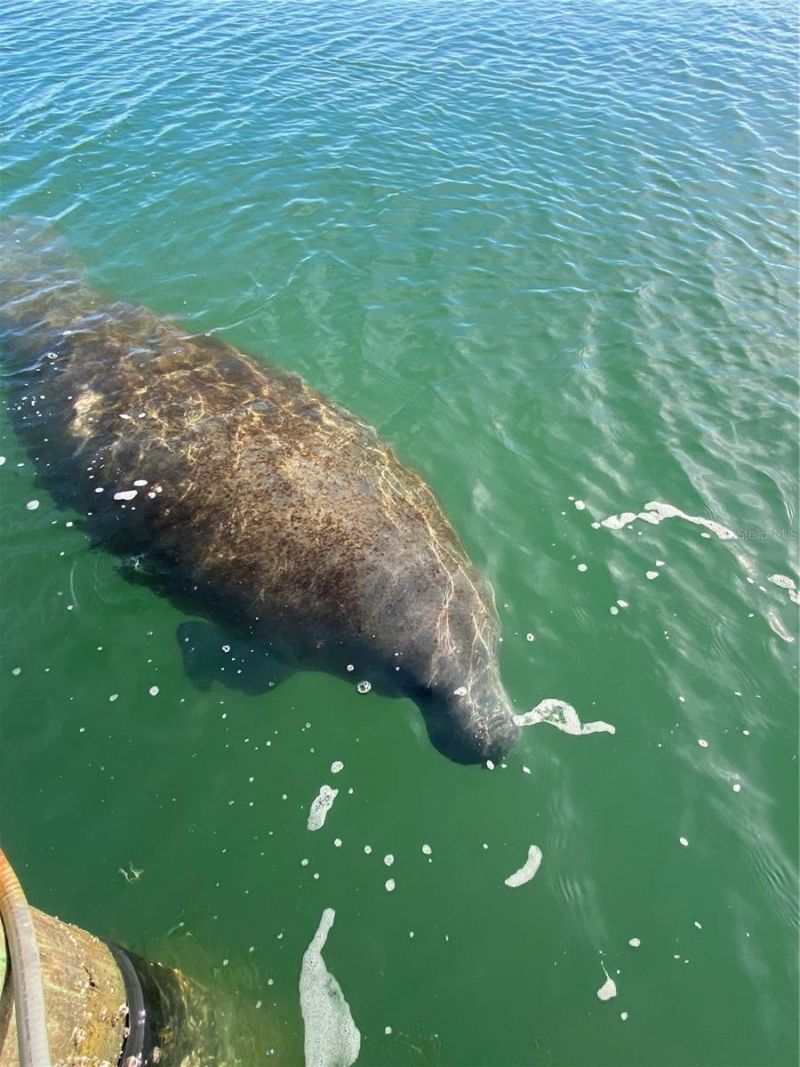 2012 Spyglass Lane, New Smyrna Beach, FL 32169 Photo