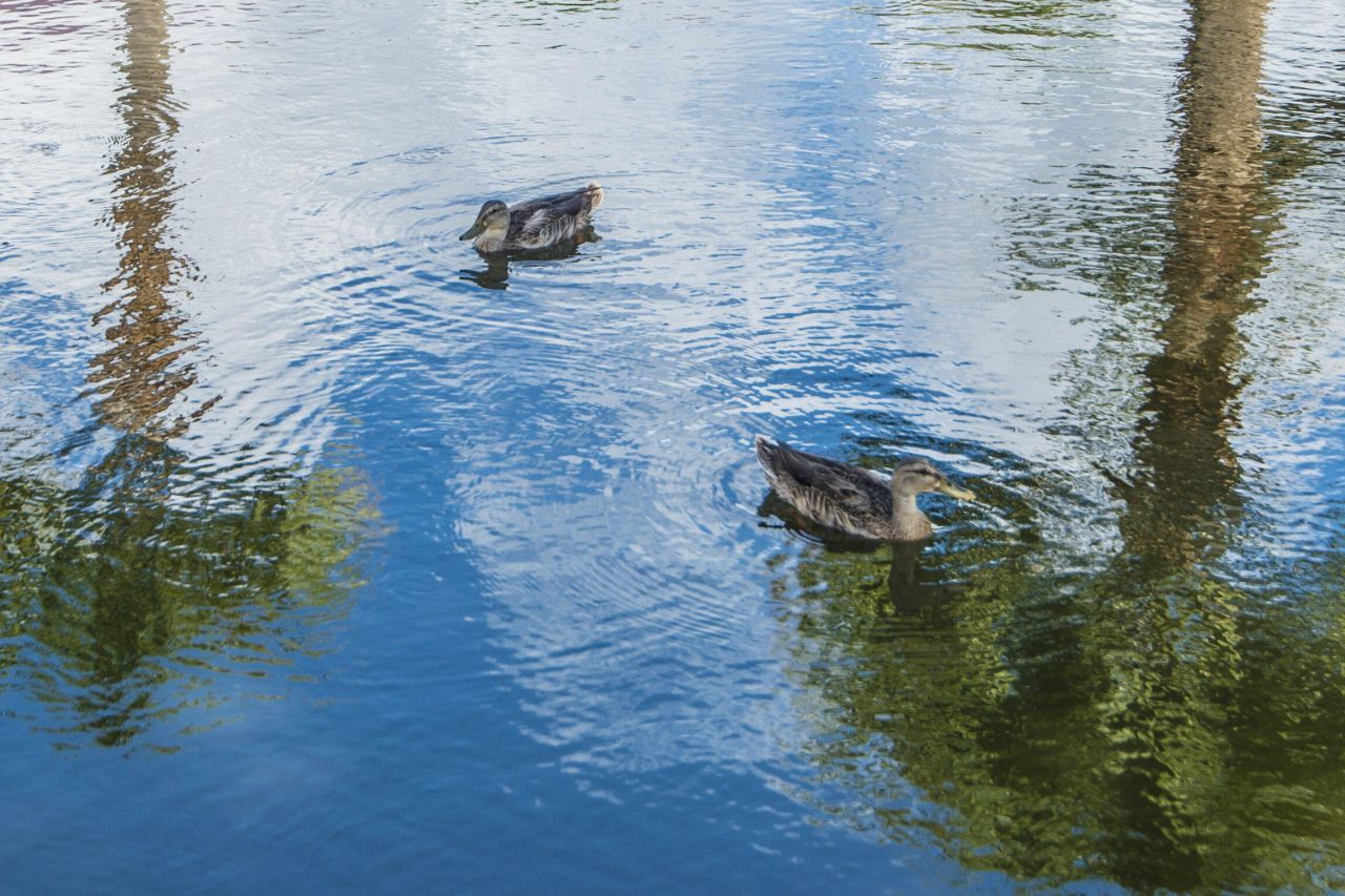 152 W Mariners Cay Drive Photo 32