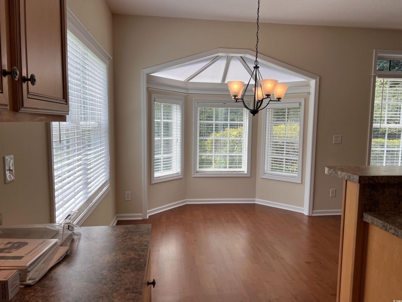 709 Ashley Manor Dr. Photo 15