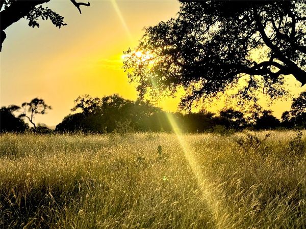 TBD Tract 11 Cattleman's CROSSING DR, Kerrville, TX 78028