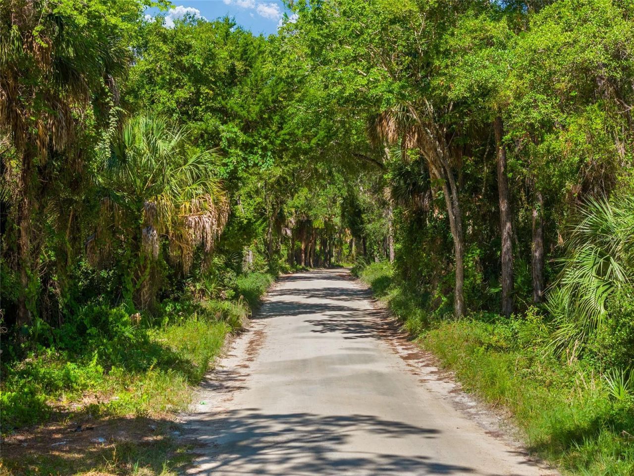 0 SE 193rd Place, Yankeetown, FL 34498 Photo