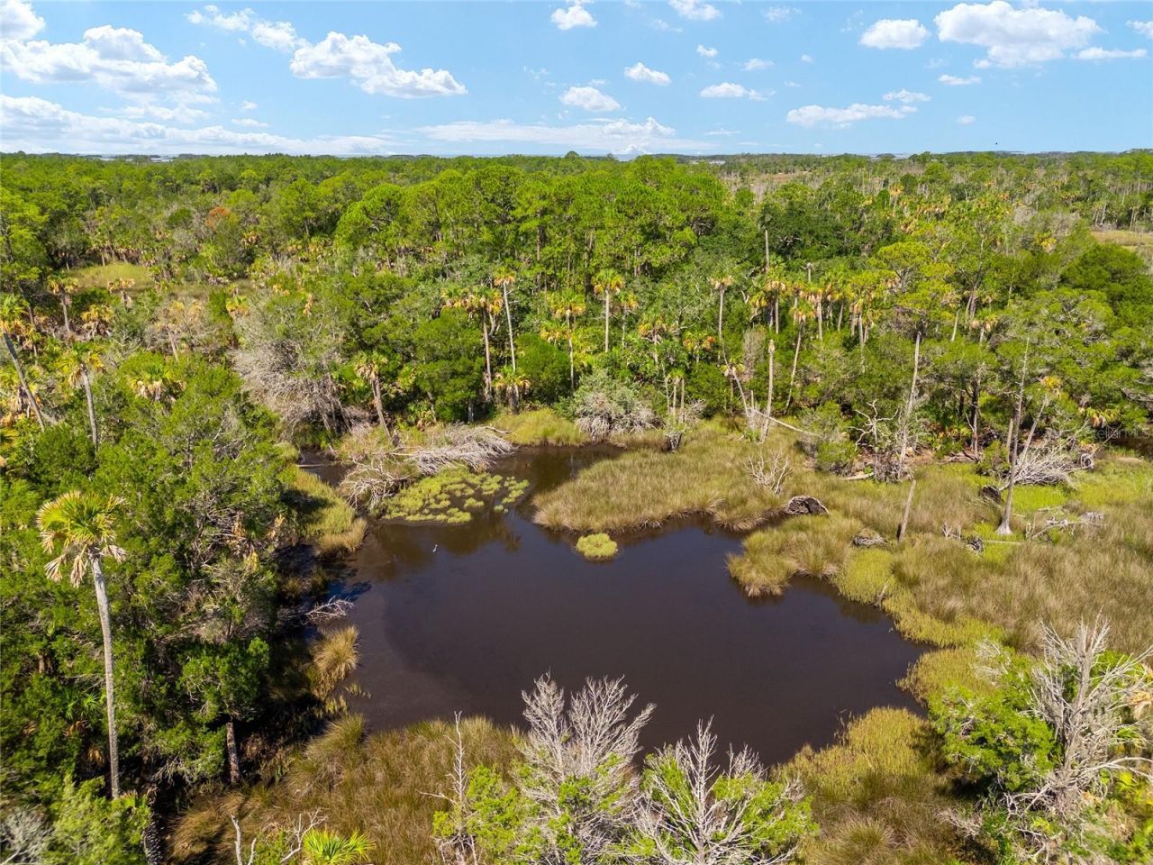 0 SE 193rd Place, Yankeetown, FL 34498 Photo