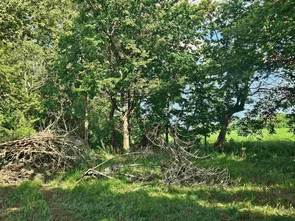 000 S Anterior Road, OREGON, IL 61061