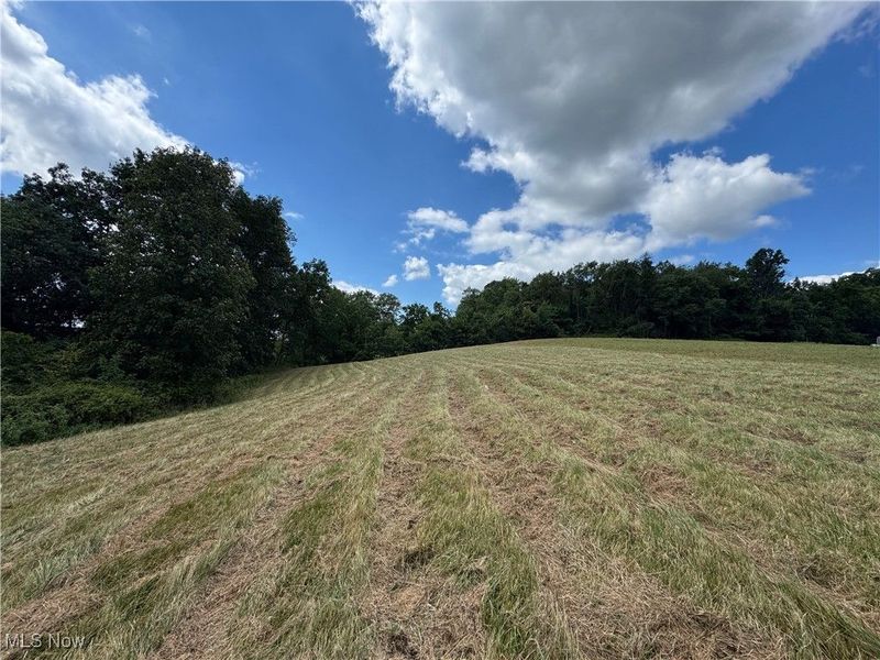 2125 Long Road, Chandlersville, OH 43727 Photo 5