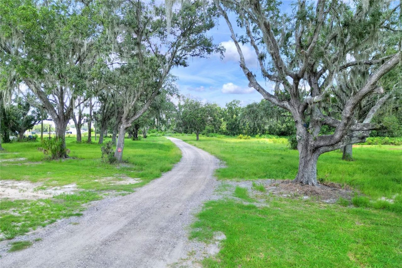 3701 E Trapnell Road, Plant City, FL 33566 Photo