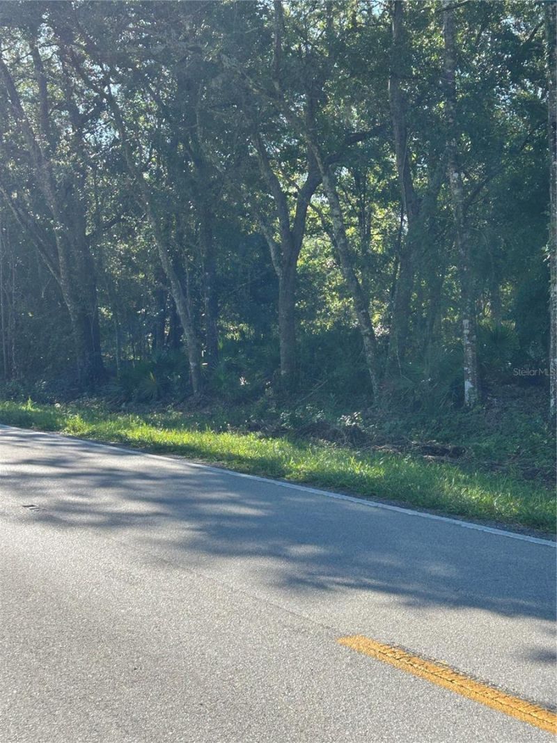 Quail Hollow Blvd Boulevard, Wesley Chapel, FL 33544 Photo