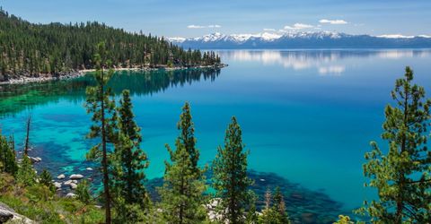 825 Southwood Boulevard, Unit 12, Incline Village, NV 89451 Photo