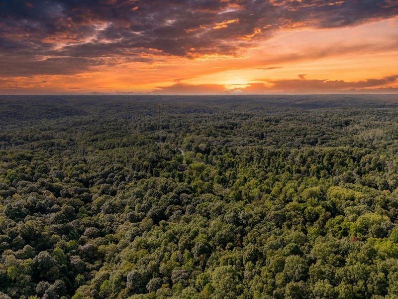 10271 Antle Orchard Road, Glouster, OH 45732 Photo 39