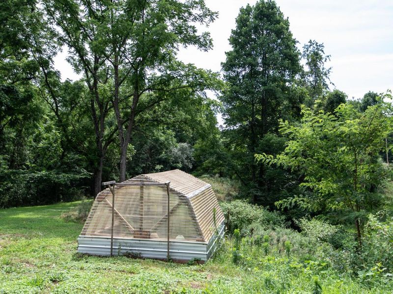 10271 Antle Orchard Road, Glouster, OH 45732 Photo 5