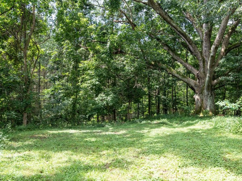 10271 Antle Orchard Road, Glouster, OH 45732 Photo 7