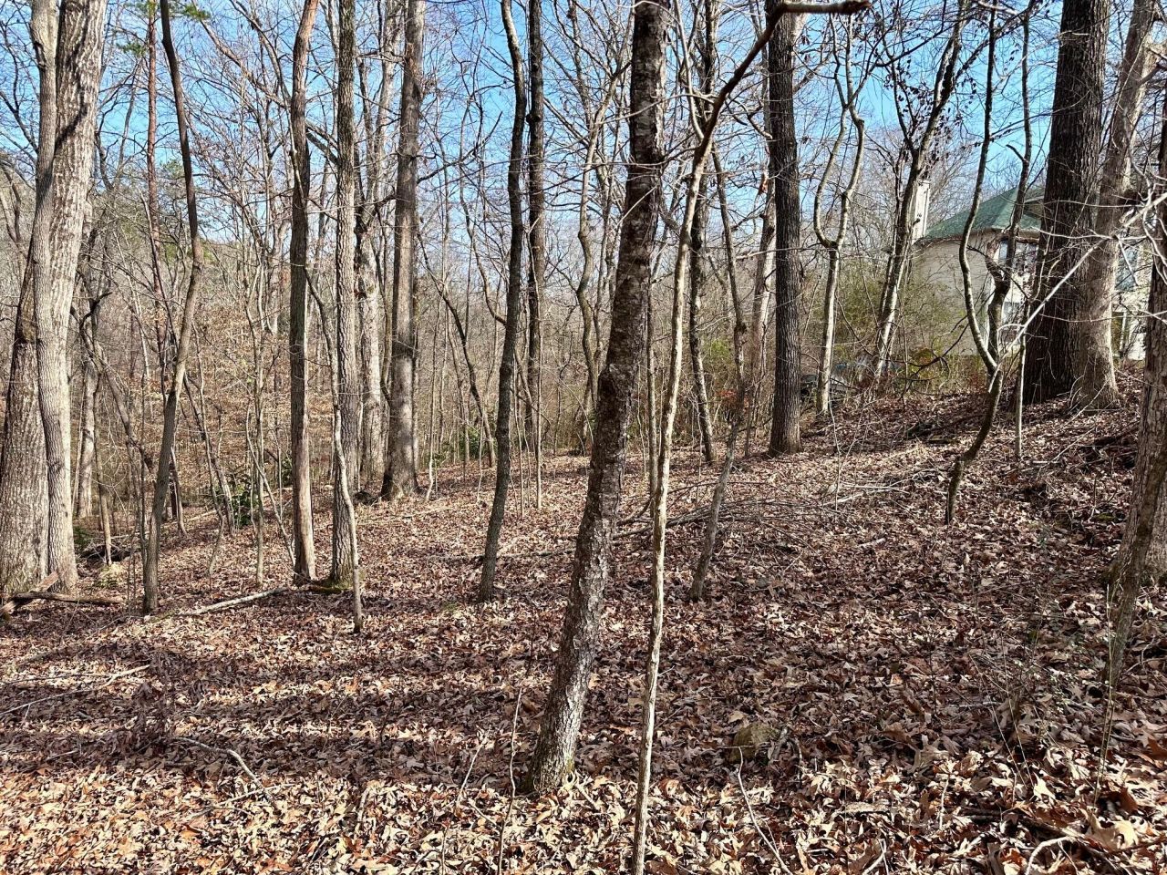 0 Lodestone Drive, Ooltewah, TN 37363 Main Photo