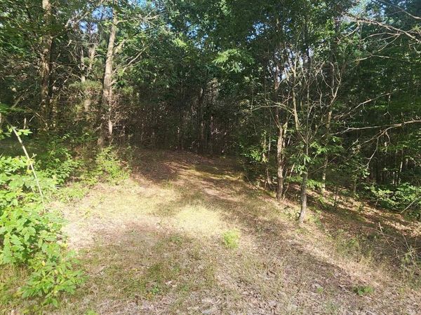 Phelps Road W, Manton, MI 49663