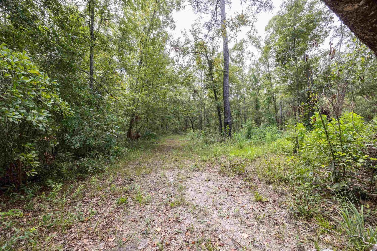 3229 Deerwood Boulevard, Greenville, FL 32331 Photo