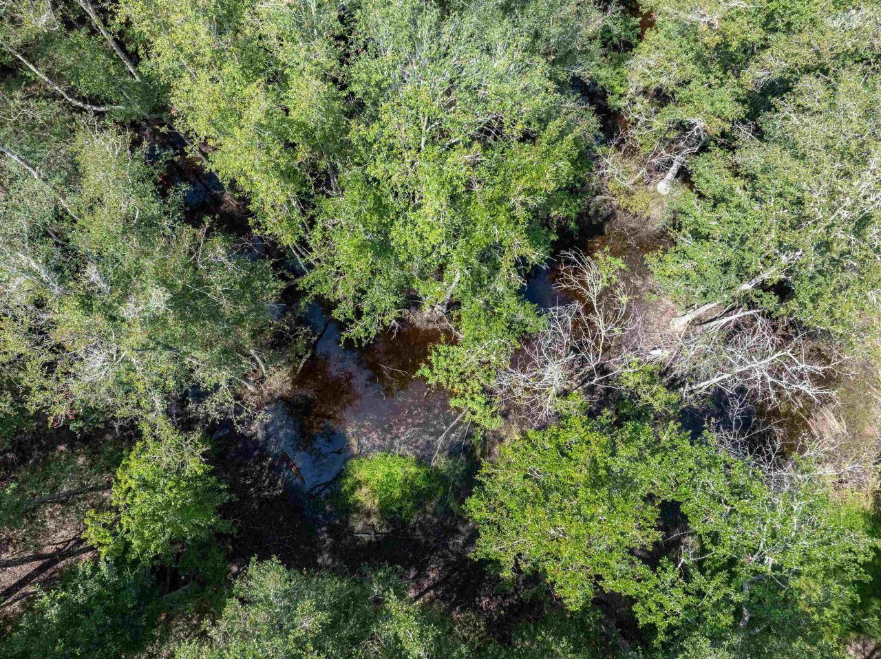 3229 Deerwood Boulevard, Greenville, FL 32331 Photo