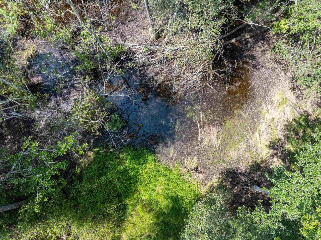 3229 Deerwood Boulevard, Greenville, FL 32331 Photo