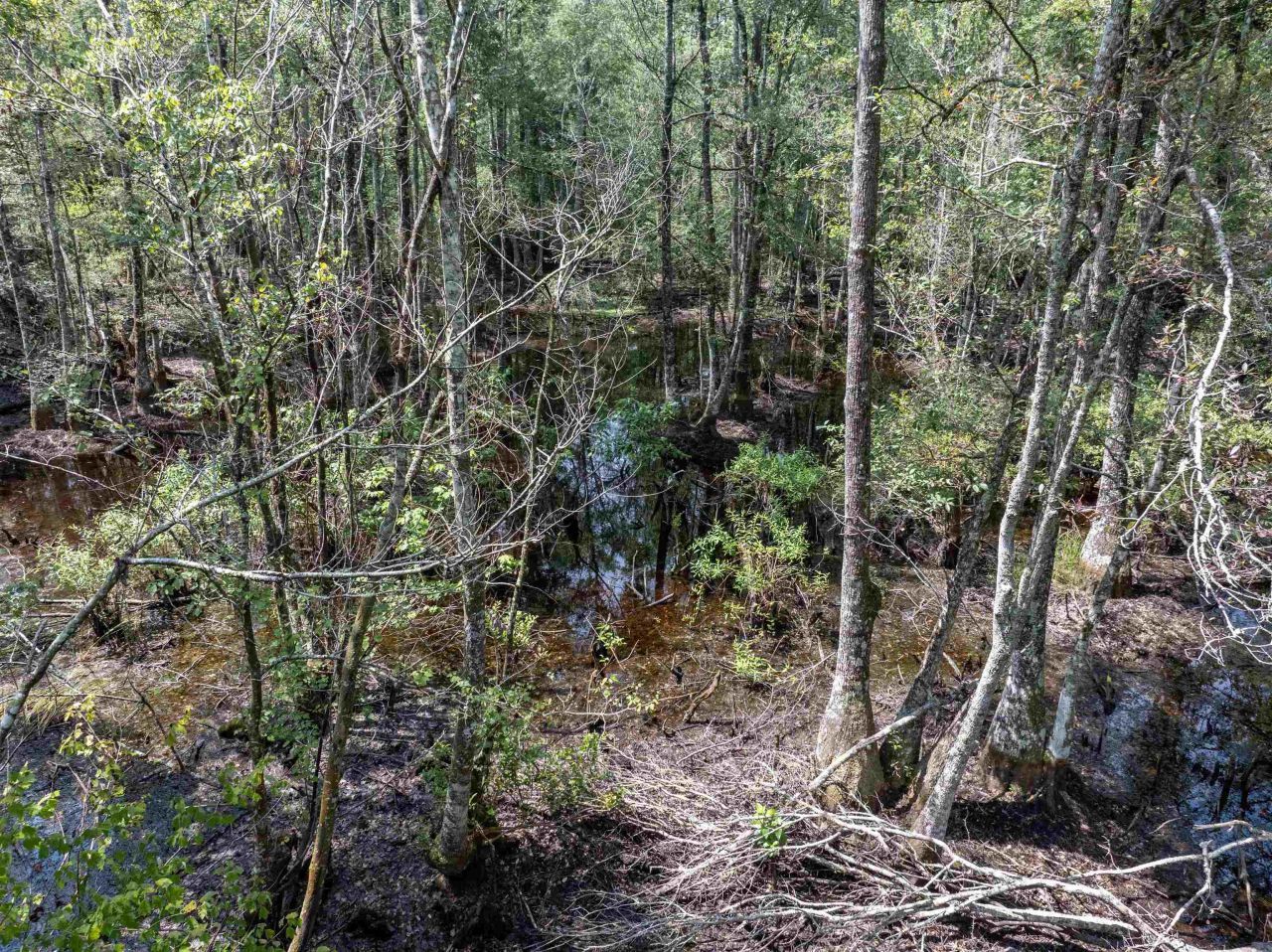 3229 Deerwood Boulevard, Greenville, FL 32331 Photo