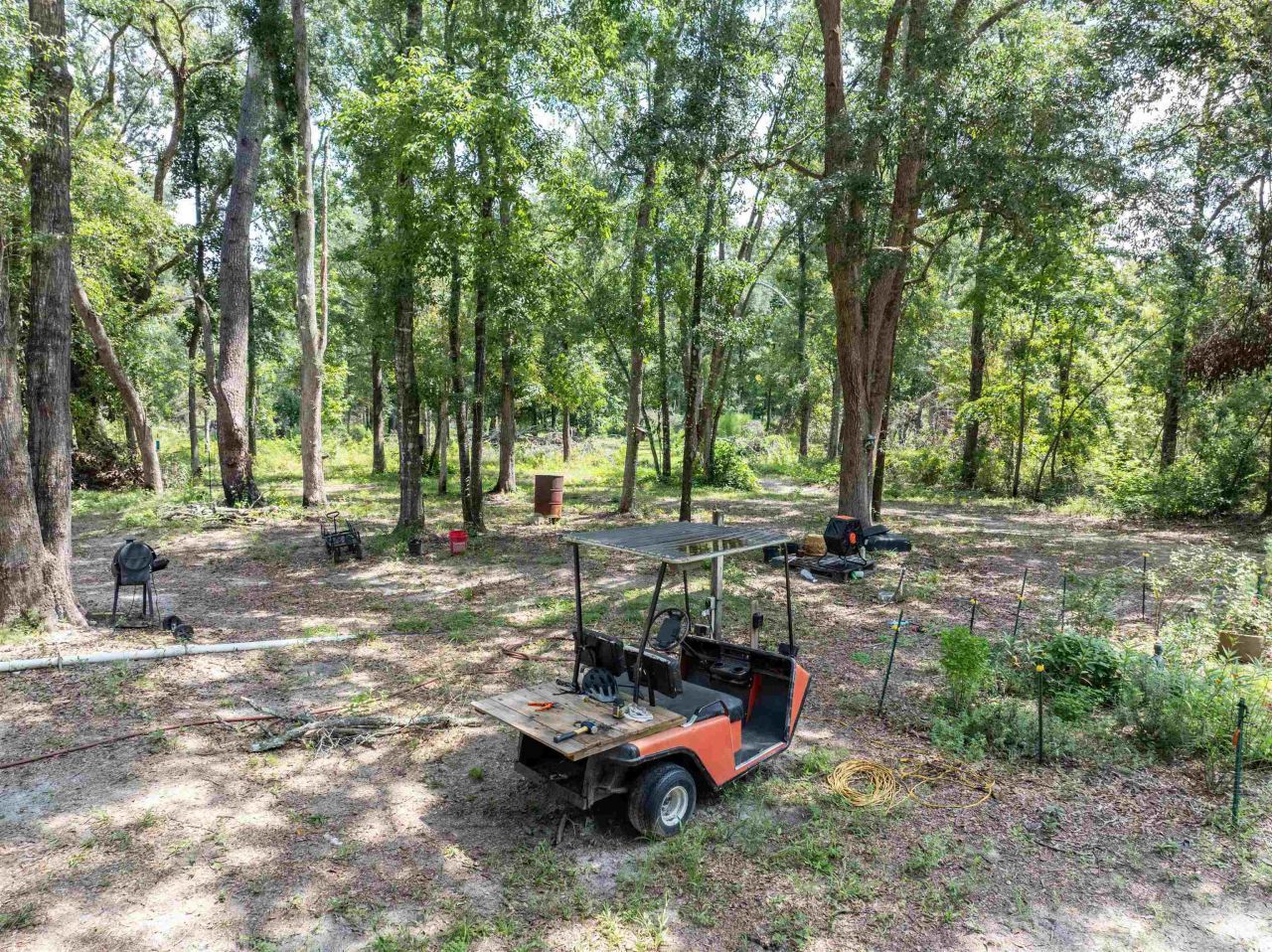 3229 Deerwood Boulevard, Greenville, FL 32331 Photo